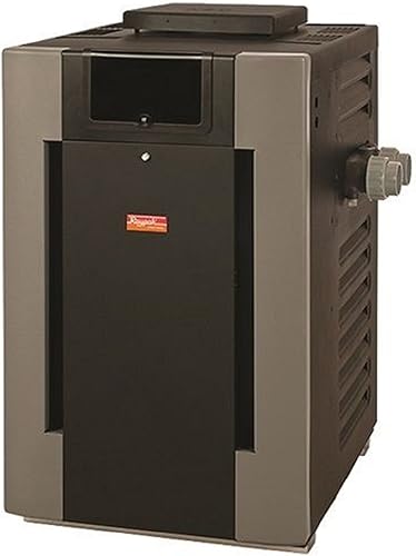 Raypak — Raypak 014941 Digital with Polymer Headers Heater