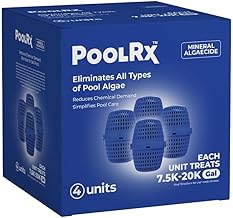 Pool — Pool RX 101003 Algaecide, 1 Quart