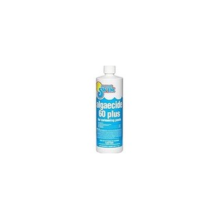 Swim — Swim University Algaecide, 1 Quart