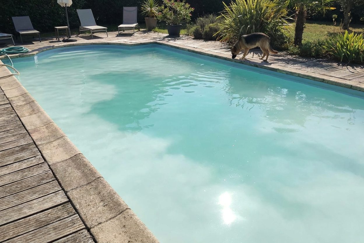 Cloudy Water — How to Clear Cloudy Pool Water: Complete Step-by-Step Guide